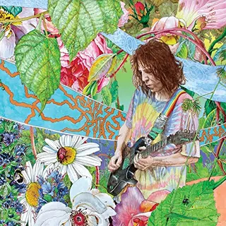 Ed Wynne Shimmer Into Nature (LP)