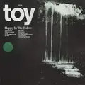 Toy Happy In the Hollow (LP - LTD)