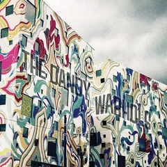The Dandy Warhols Why You So Crazy (LP)
