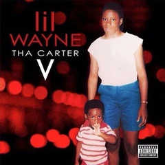 Lil Wayne Tha Carter V (2LP)