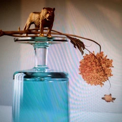 Beirut Gallipoli (LP)