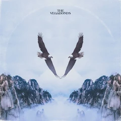 The Vegabonds V (LP)