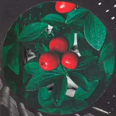Side Effects Some Other Day (LP)