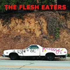 The Flesh Eaters I Used To Be Pretty (2LP)