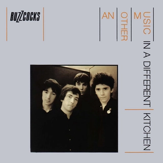 Buzzcocks Another Music In A Different Kitchen(LP)