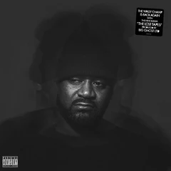 Ghostface Killah The Lost Tapes (LP)