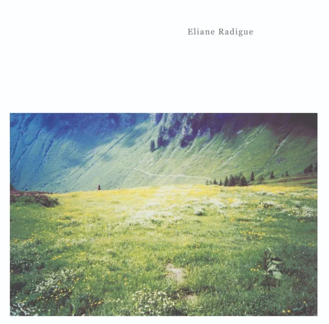 Eliane Radigue Geelriandre / Arthesis (LP) 