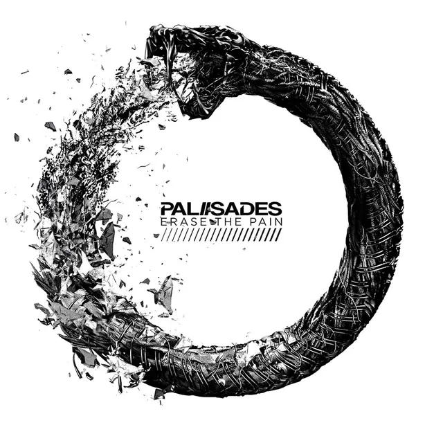 Palisades Erase the Pain (LP) 