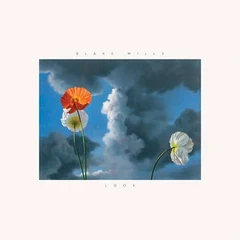 Blake Mills Look (LP)