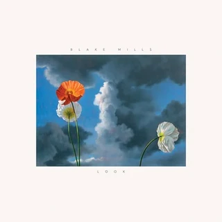 Blake Mills Look (LP)