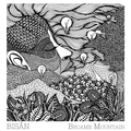 Bisån Became Mountain (LP)