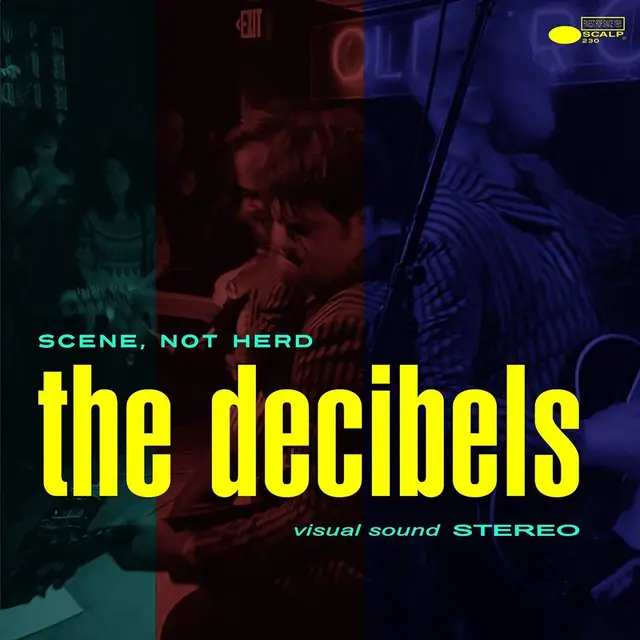 Decibels Scene Not Herd (LP) 