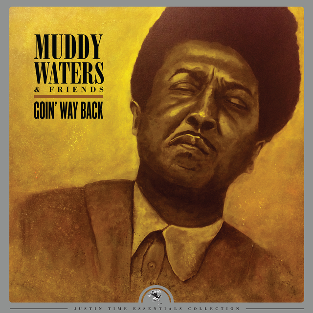 Muddy Waters & Friends Goin' Way Back (LP) 