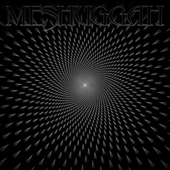 Meshuggah Meshuggah (LP)