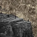Esben and The Witch Nowhere (LP)