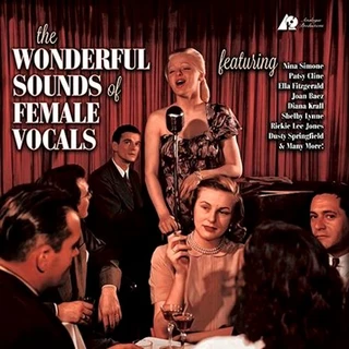 Diverse artister Wonderful Sounds of Female Vocals (2LP) 