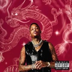 YG Stay Dangerous (LP)
