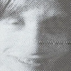 Diverse Artister Jem Records Celebrates David Bowie (LP)