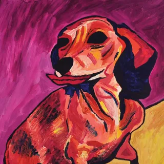 Ty Segall Fanny (7")