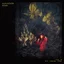 Julia Holter Aviary - LTD (LP)