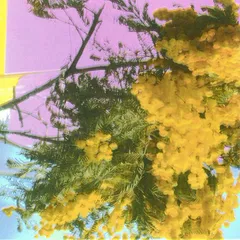 Four Tet Into Dust (Still Falling) (12")