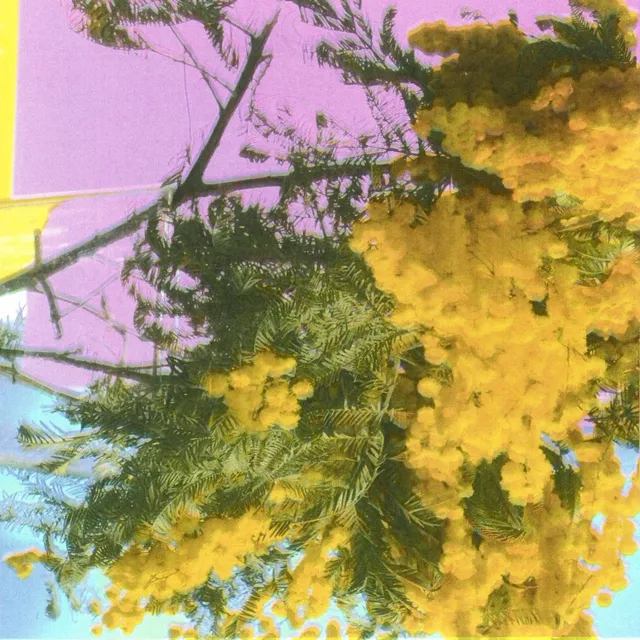 Four Tet Into Dust (Still Falling) (12") 