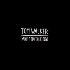 Tom Walker What A Time To Be Alive (LP)
