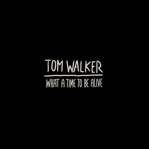 Tom Walker What A Time To Be Alive (LP) 