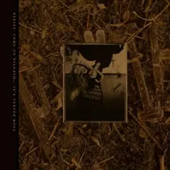 Pixies Come on Pilgrim...It's Surfer Rosa (3LP)