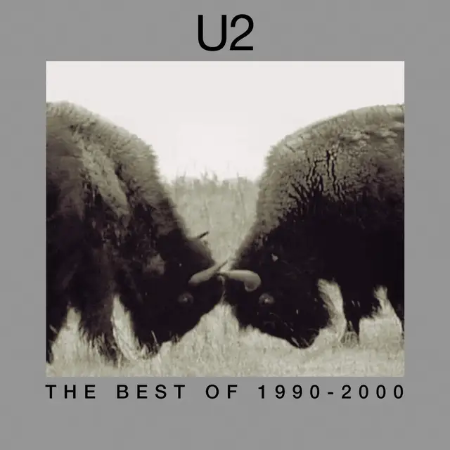 U2 The Best Of 1990-2000 (2LP) 