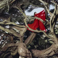 Hannah Frances Nested In Tangles - LTD (LP)