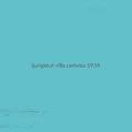 Ljungblut Villa Carlotta 5959  (LP)