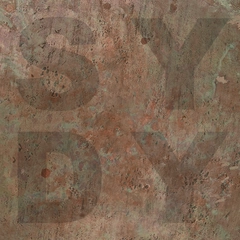 Shiny Darkly Bronze (LP)