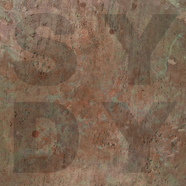 Shiny Darkly Bronze (LP) 