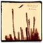 Alejandro Escovedo Crossing (2LP)
