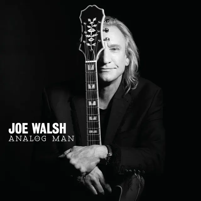 Joe Walsh Analog Man (LP) 