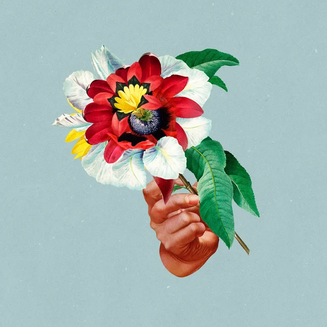Maribou State Kingdoms In Colour (LP) 