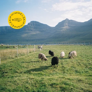 Himmelskip Den Siste Kvegdriver (LP)