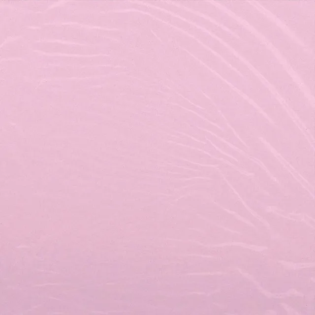 Cam'ron The Program (LP) 