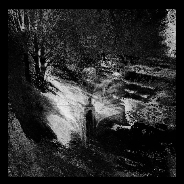 Leonov Wake (LP) 