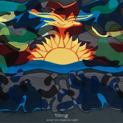 Tunng Songs You Make At Night (LP)