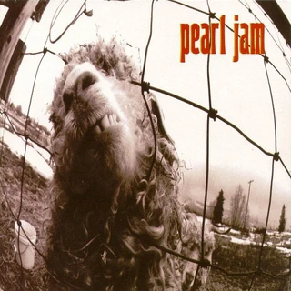 Pearl Jam Vs (LP)