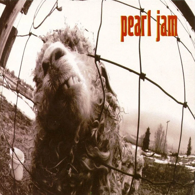 Pearl Jam Vs (LP) 