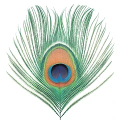 XTC Apple Venus Vol. I (LP)