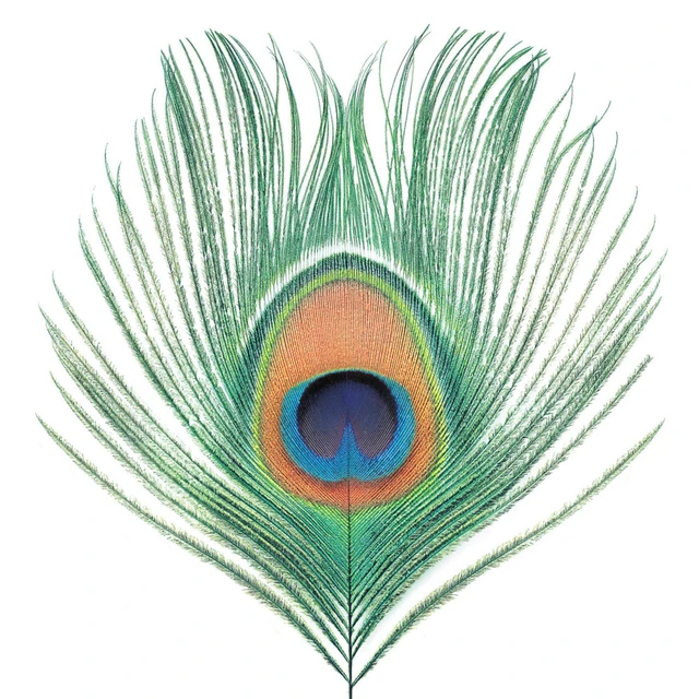 XTC Apple Venus Vol. I (LP) 