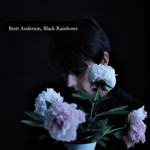 Brett Anderson Black Rainbows (LP) 
