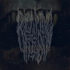 Reaping Flesh Death Creeps (LP)