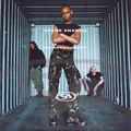 Skunk Anansie Paranoid And Sunburnt (LP)
