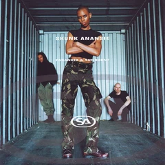 Skunk Anansie Paranoid And Sunburnt (LP)