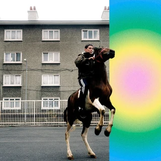 Honningbarna Soft Spot - LTD (LP)